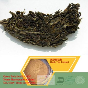 Dark Tea Extract